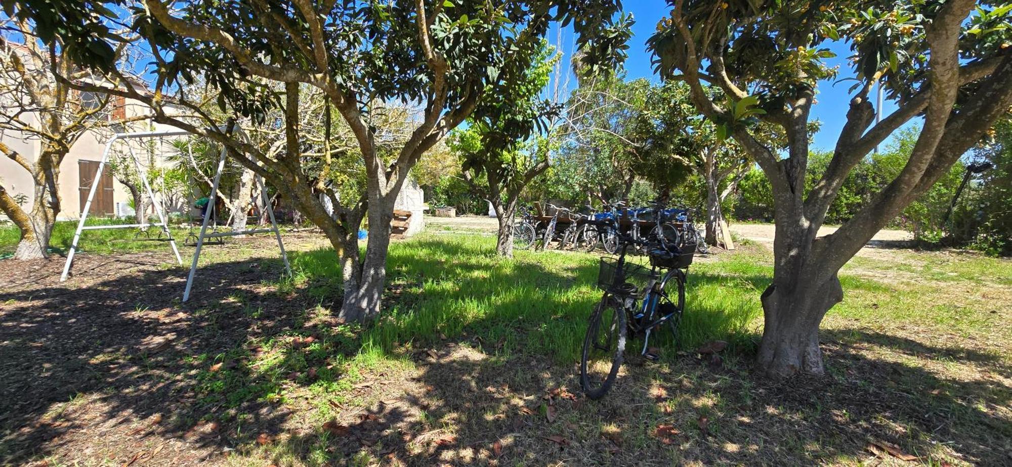 Alghero In Bicicletta Ngoại thất bức ảnh